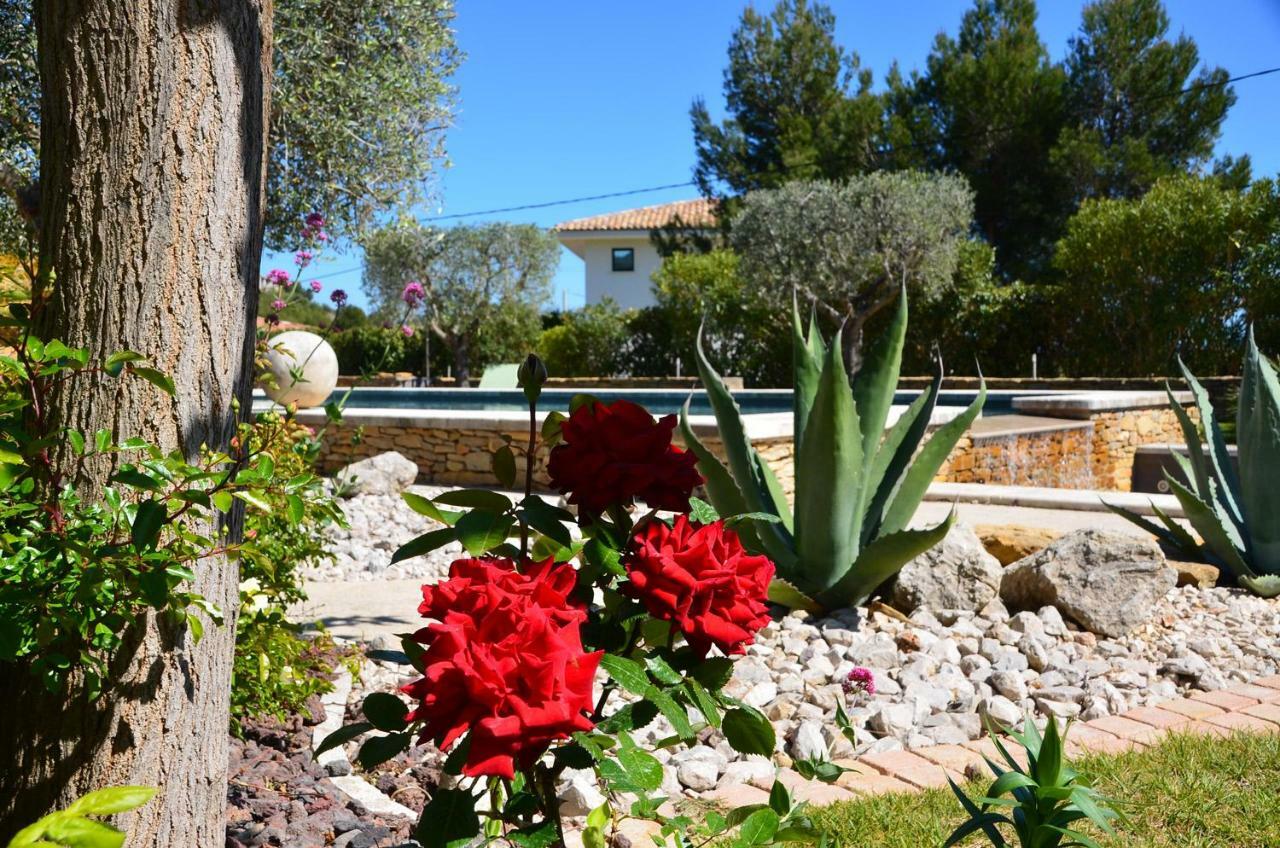 Appartements Du Jas De Clare La Cadiere-d'Azur Buitenkant foto